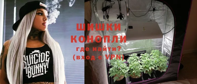 купить наркотик  Волчанск  Конопля White Widow 